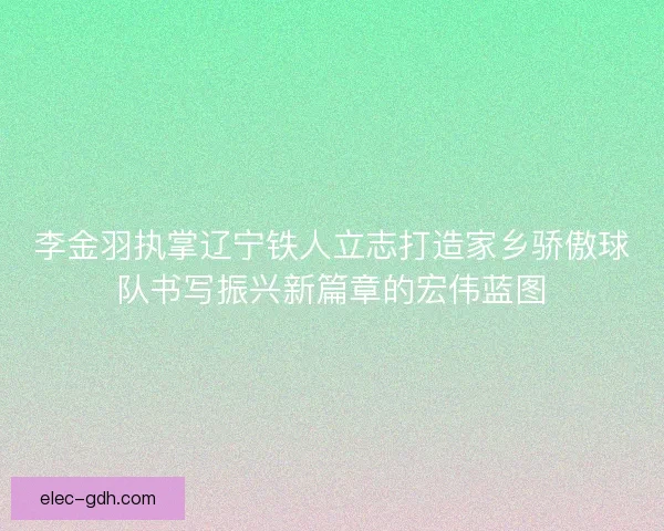 李金羽执掌辽宁铁人立志打造家乡骄傲球队书写振兴新篇章的宏伟蓝图