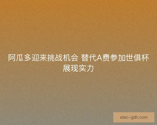 阿瓜多迎来挑战机会 替代A费参加世俱杯展现实力