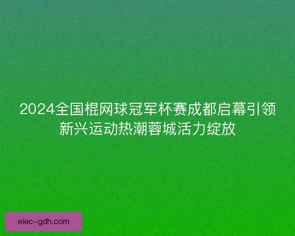 2024全国棍网球冠军杯赛成都启幕引领新兴运动热潮蓉城活力绽放