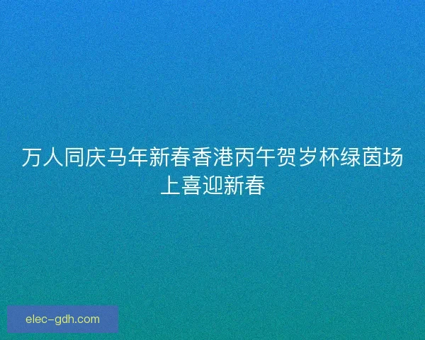 万人同庆马年新春香港丙午贺岁杯绿茵场上喜迎新春