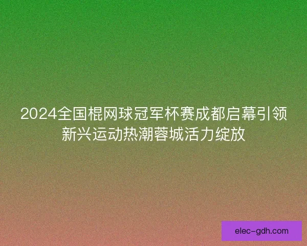 2024全国棍网球冠军杯赛成都启幕引领新兴运动热潮蓉城活力绽放
