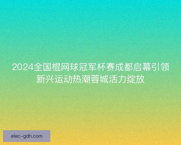2024全国棍网球冠军杯赛成都启幕引领新兴运动热潮蓉城活力绽放 2024全国棍网球冠军杯赛成都启幕引领新兴运动热潮蓉城活力绽放